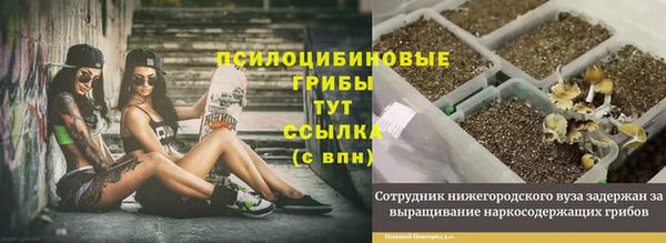 не бодяженный Баксан